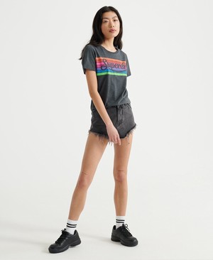 Superdry Premium Logo Rainbow Női Pólók Szürke | MITFN4782